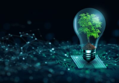 Tree-With-Soil-Growing-On-Light-Bulb.-Digital-Convergence