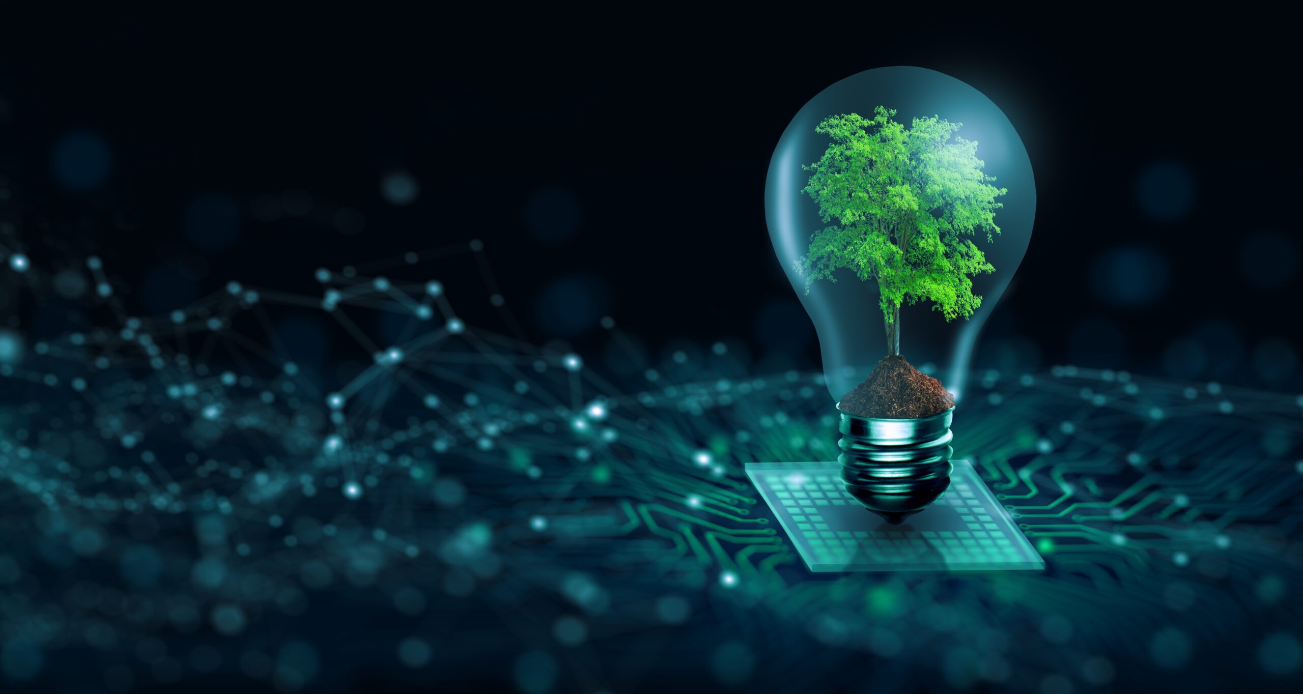 Tree-With-Soil-Growing-On-Light-Bulb.-Digital-Convergence